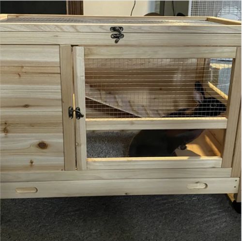 Customer photo review of 36" Indoor and Outdoor Wooden Rabbit Hutch, Cage, w/Removable Tray, Safety Lock, Galvanized Mesh Wires, Access Ramps