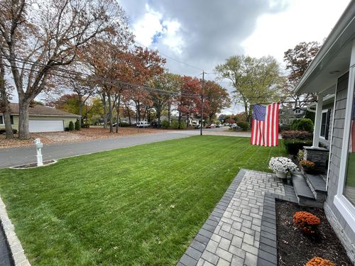 Customer photo review of Protene Performance Starter Fertilizer