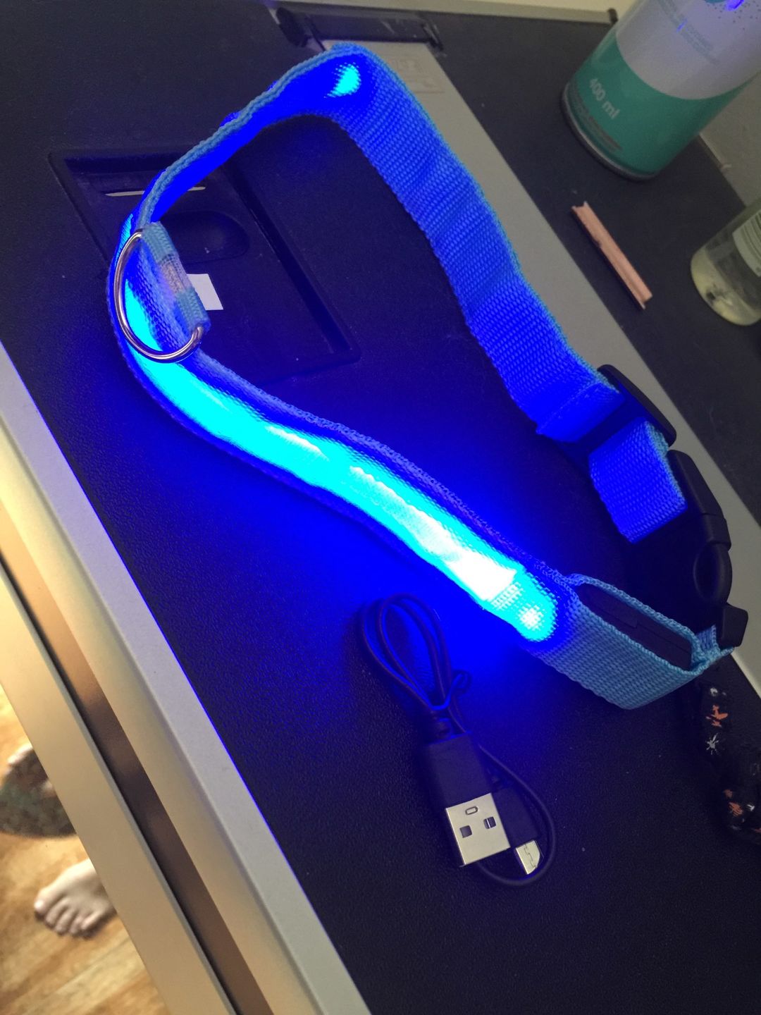 Customer photo review of LED Glow Pet Collar - USB Rechargeable