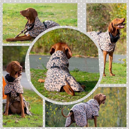 Customer photo review of Visibility Raincoat Lite Leopard for Dogs