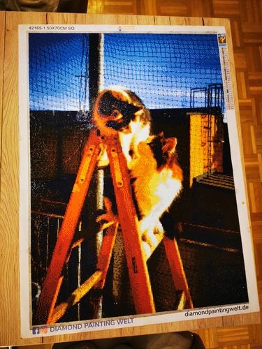 Kundenbewertung mit Foto zu Eigenes Foto Diamond Painting