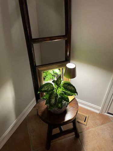 Customer photo review of Florence: Italian Designer Lamp