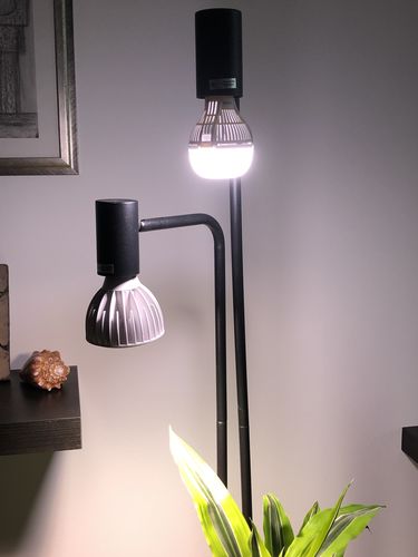 Customer photo review of Pianta Grow Light LED Bulb