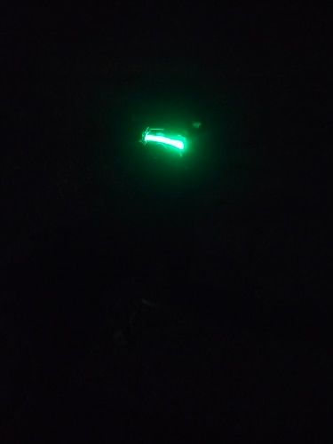 Customer photo review of LED Glow Pet Collar - USB Rechargeable