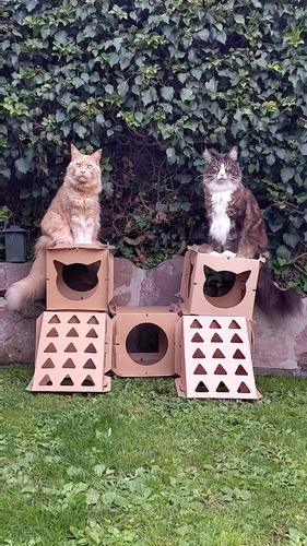 Customer photo review of The Superior’s Castle