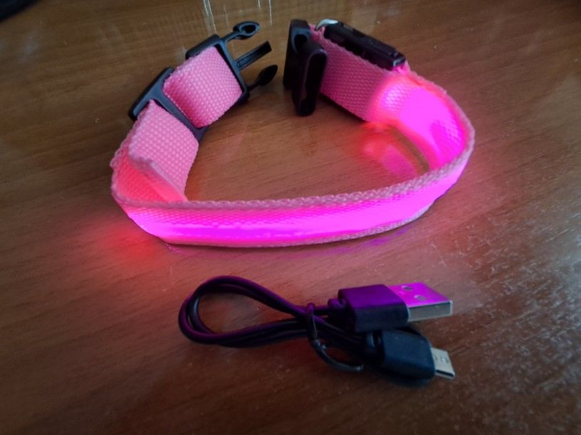 Customer photo review of LED Glow Pet Collar - USB Rechargeable