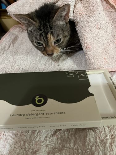 Customer photo review of Laundry Detergent Eco-Sheets™