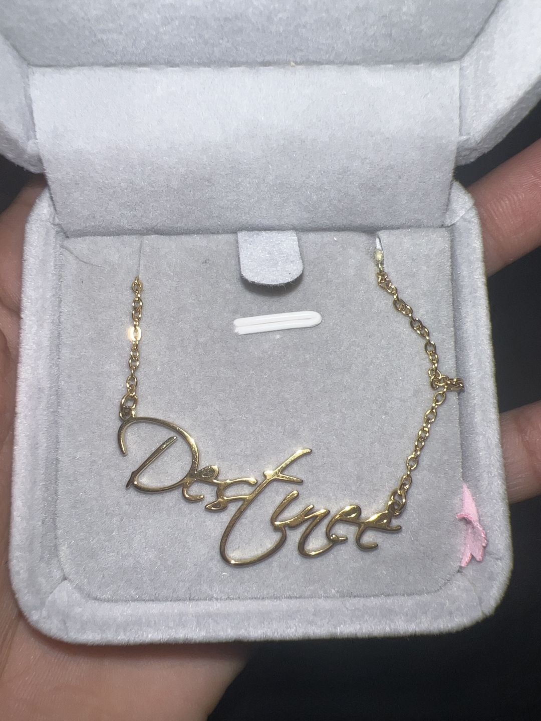 Customer photo review of Script Name Necklace