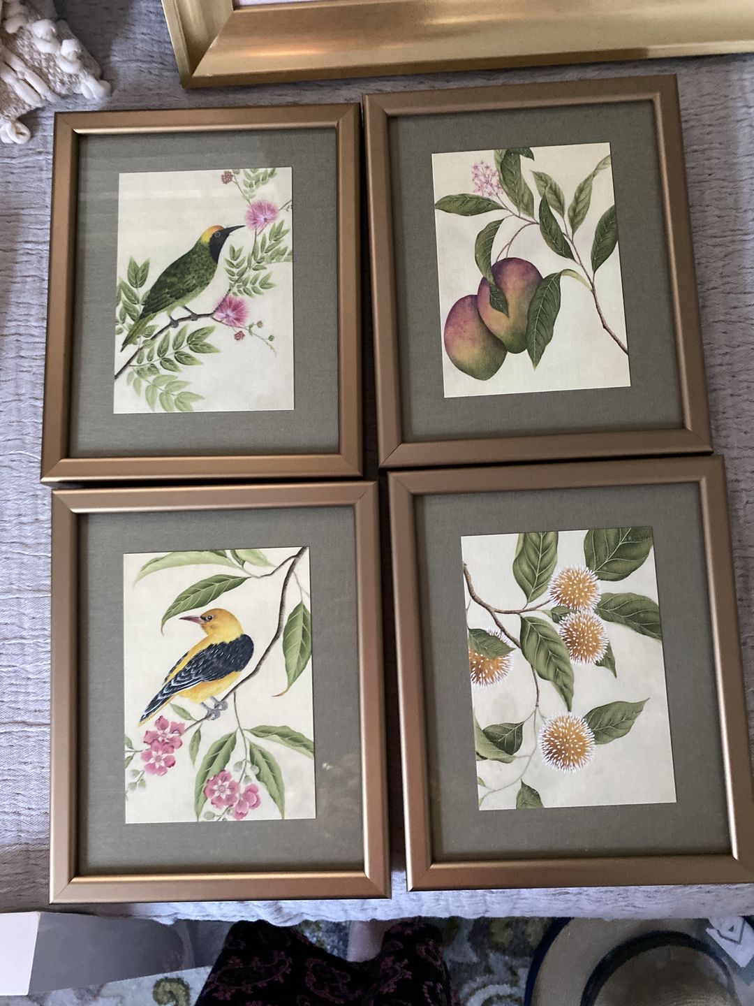Customer photo review of Botanical Mini Art Prints - Set Of 6