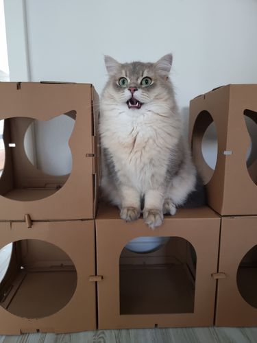 Customer photo review of The Superior’s Castle
