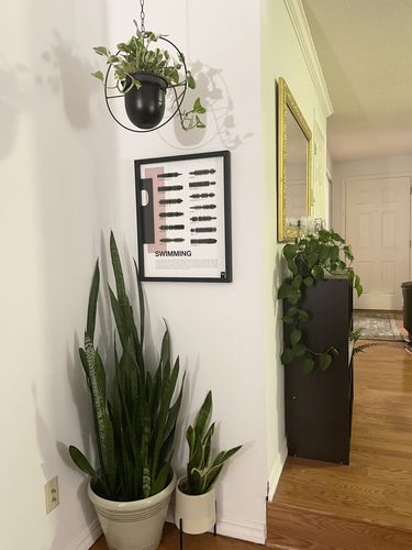 Customer photo review of "Swimming"