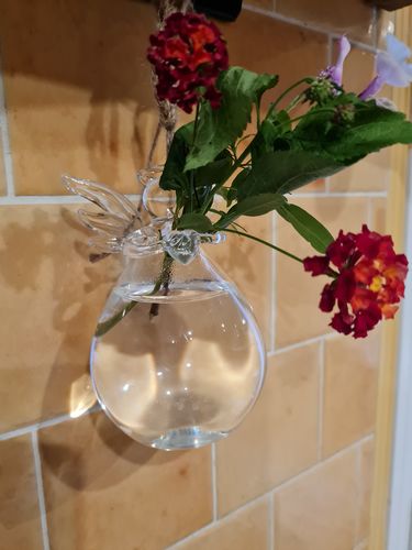 Customer photo review of Mon grand ange gardien