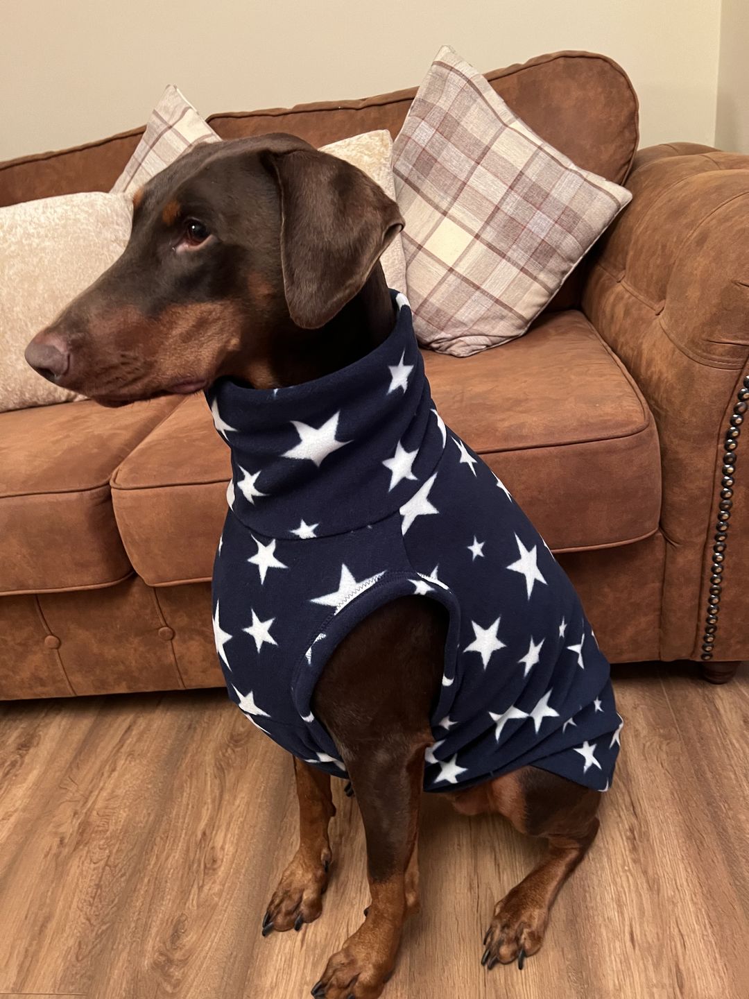 Customer photo review of White Stars Anti Pill Polar Fleece Fabric