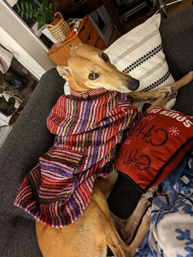 Customer photo review of Playa Poncho - Surprise Color