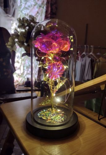 Customer photo review of Pink LED Rose Dome