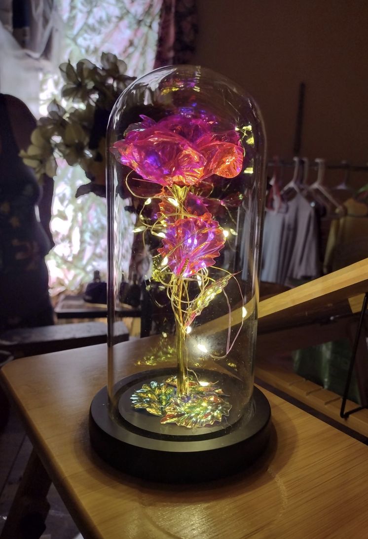 Customer photo review of Pink LED Rose Dome
