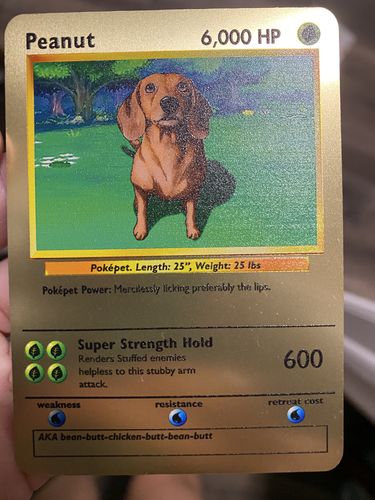 Customer photo review of Product options