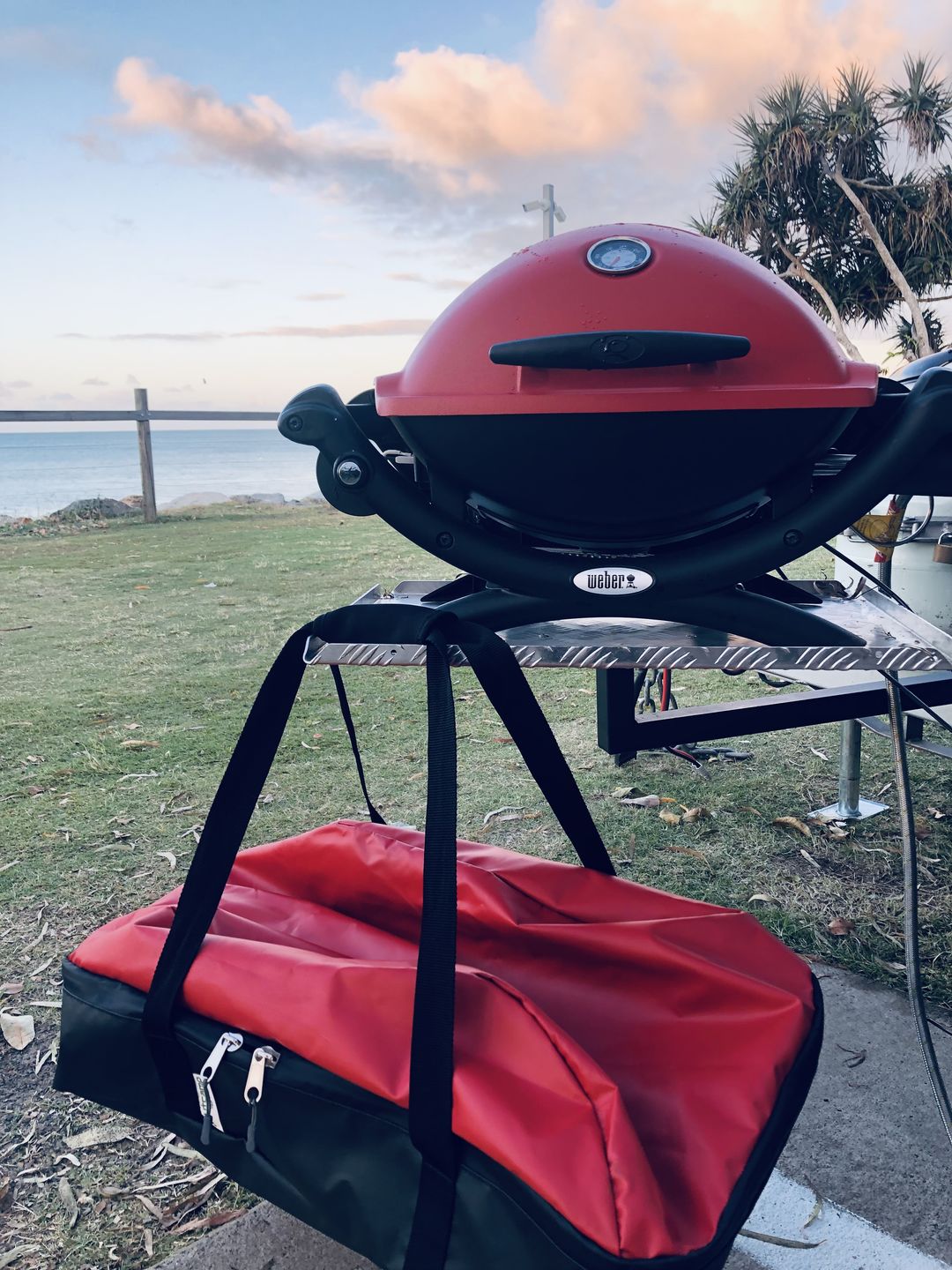 Customer photo review of Carry Bag To Suit the Weber Baby Q1000, Q1200 Q100