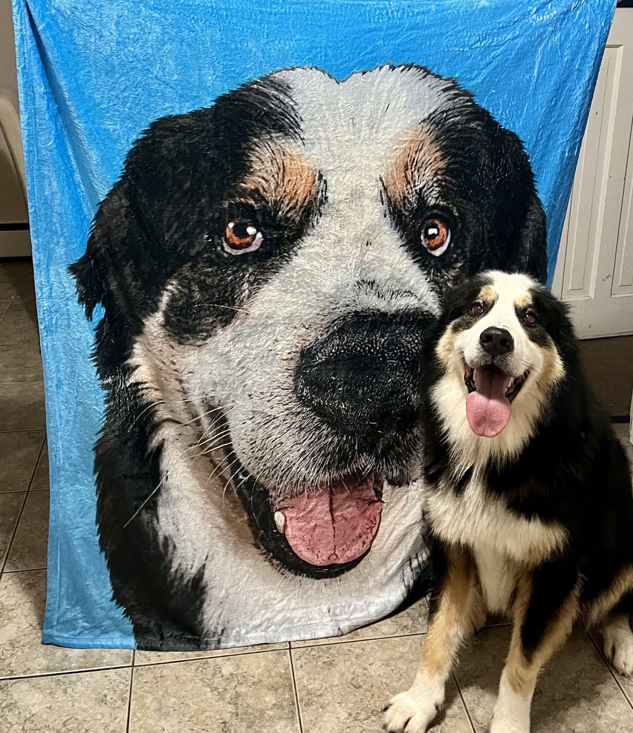 Customer photo review of Custom Pet Art Fleece Blanket