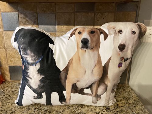 Customer photo review of Create A Custom Dog Pillow