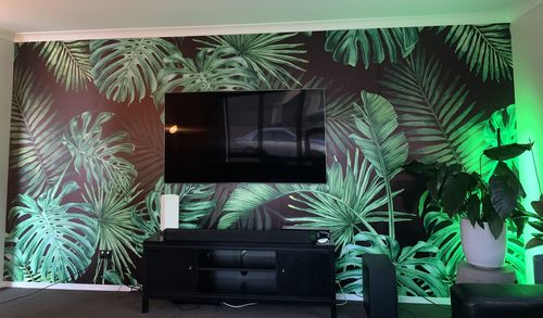 Customer photo review of Monstera on Black- Wallpaper Mural