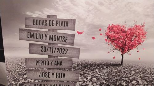 Customer photo review of Lienzo Árbol Corazón con Nombres Personalizados