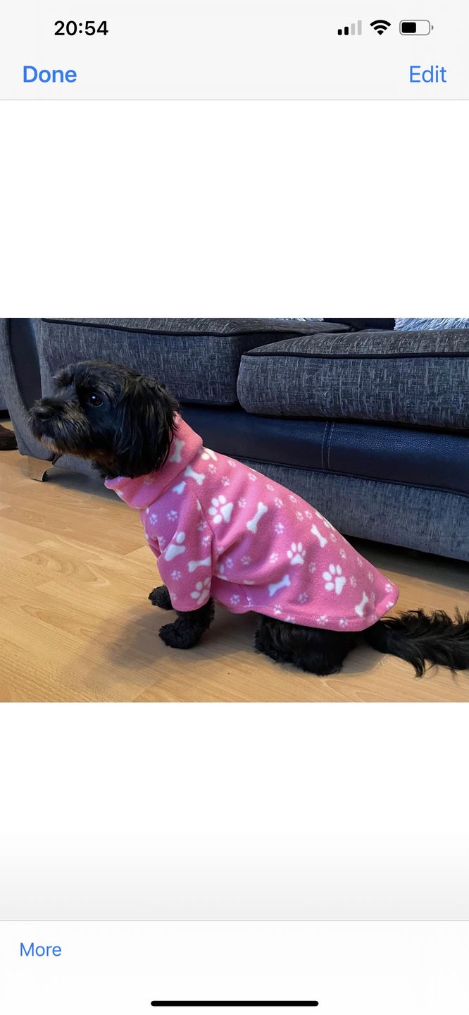 Customer photo review of Paw Print & Bones Anti Pill Polar Fleece Fabric