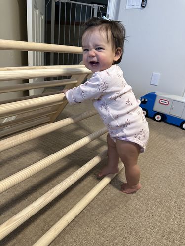 Customer photo review of Little Climber