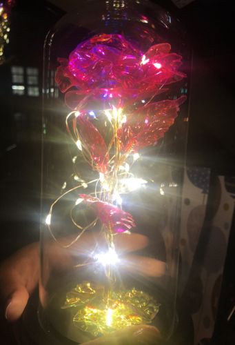 Customer photo review of Pink LED Rose Dome
