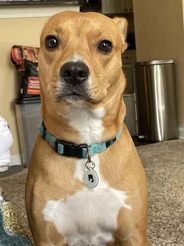 Customer photo review of White