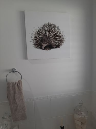 Customer photo review of The Echidna