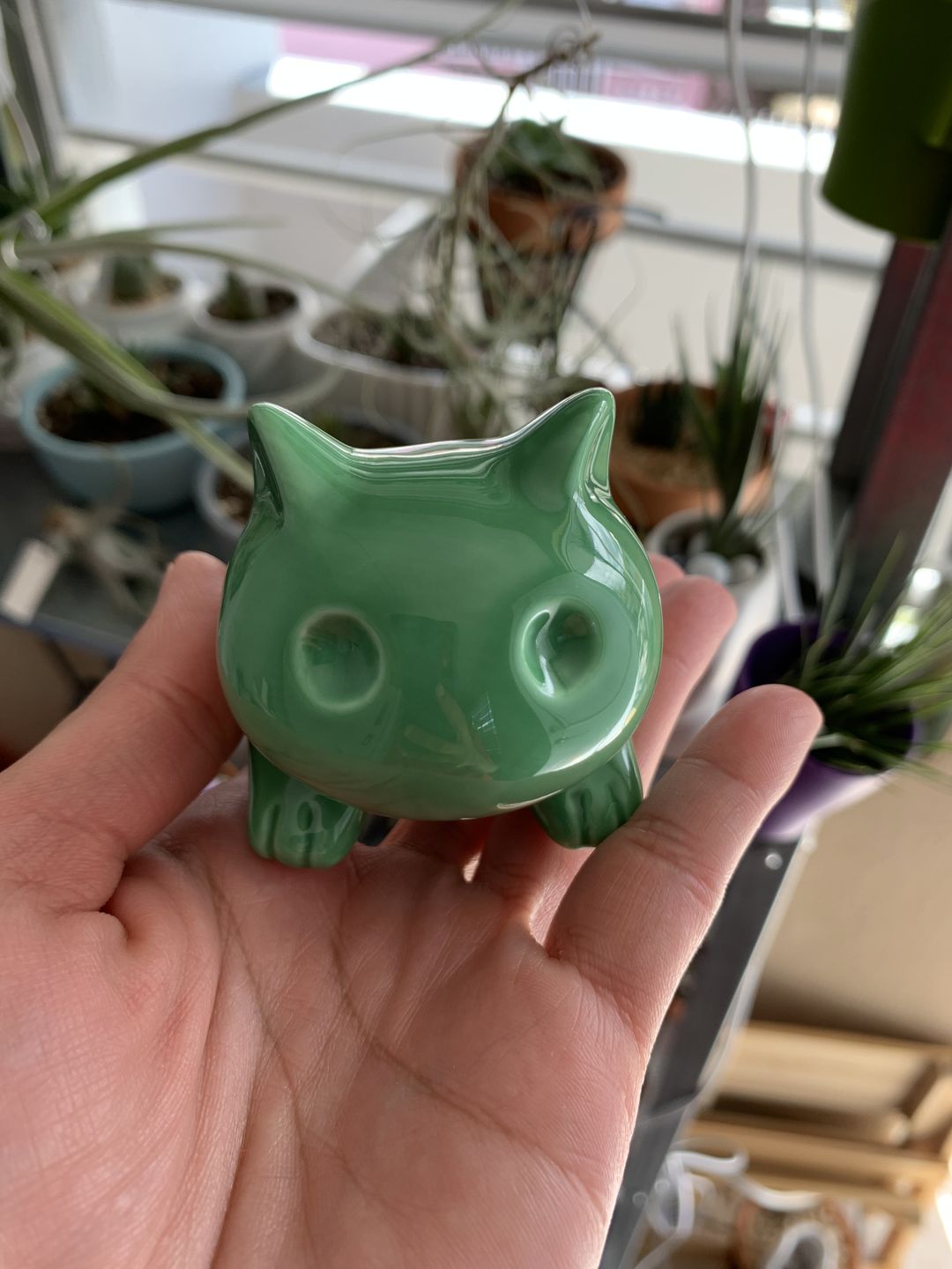 Customer photo review of Bulbasaur Planter  (Includes Drainage Hole For Non Air Plants)