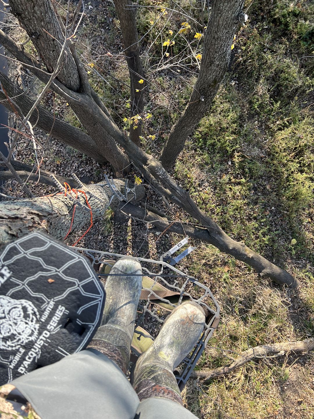 Customer photo review of D'Acquisto Series Hang-On .75