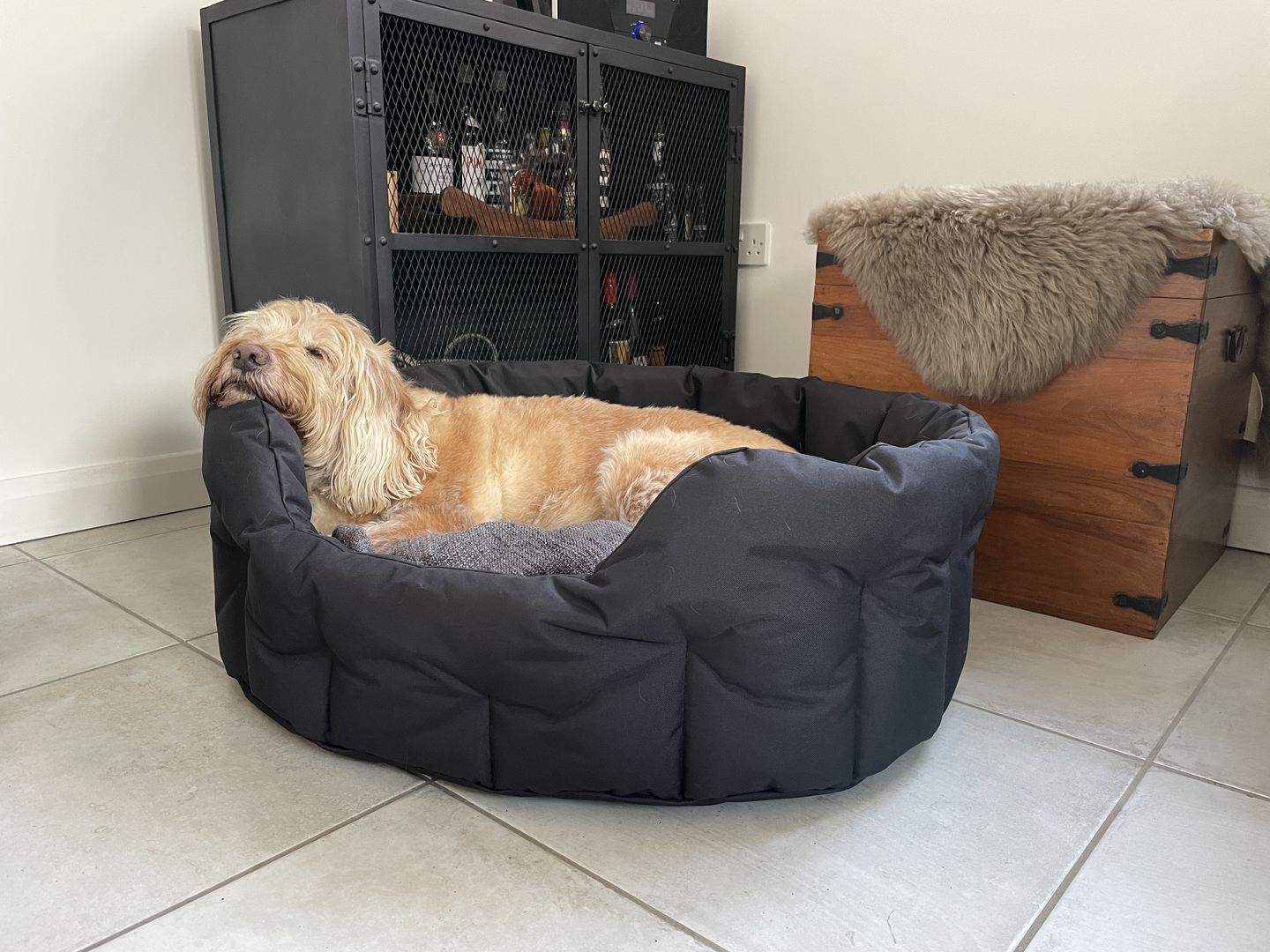Customer photo review of Country Dog Heavy Duty Oval Waterproof Bed