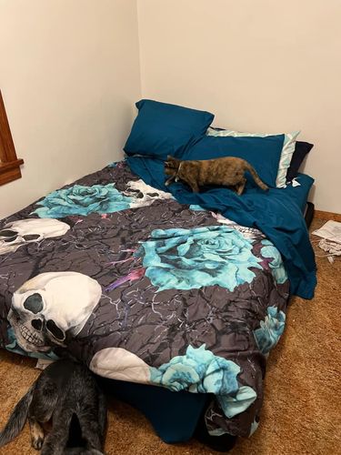 Customer photo review of Turquoise Rose Skull Bedding