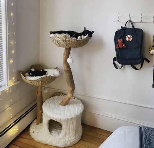 Customer photo review of Michu Selected Real Wood Cat Tree, Large