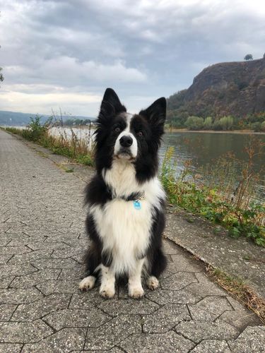 Customer photo review of Lucky Belly