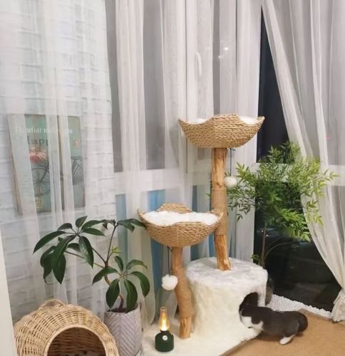 Customer photo review of Michu Selected Real Wood Cat Tree, Large
