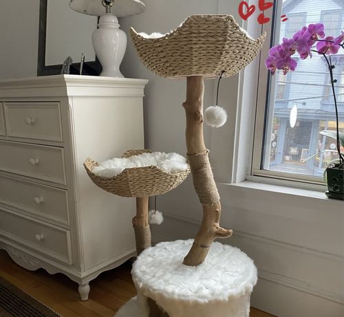 Customer photo review of Michu Selected Real Wood Cat Tree, Large