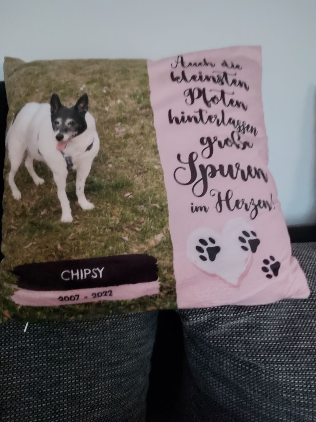 Customer photo review of Die kleinsten Pfoten - Individuelles Kissen