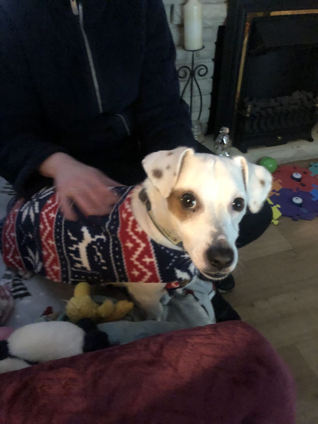 Customer photo review of Navy and Red Reindeer Anti Pill Polar Fleece Fabric