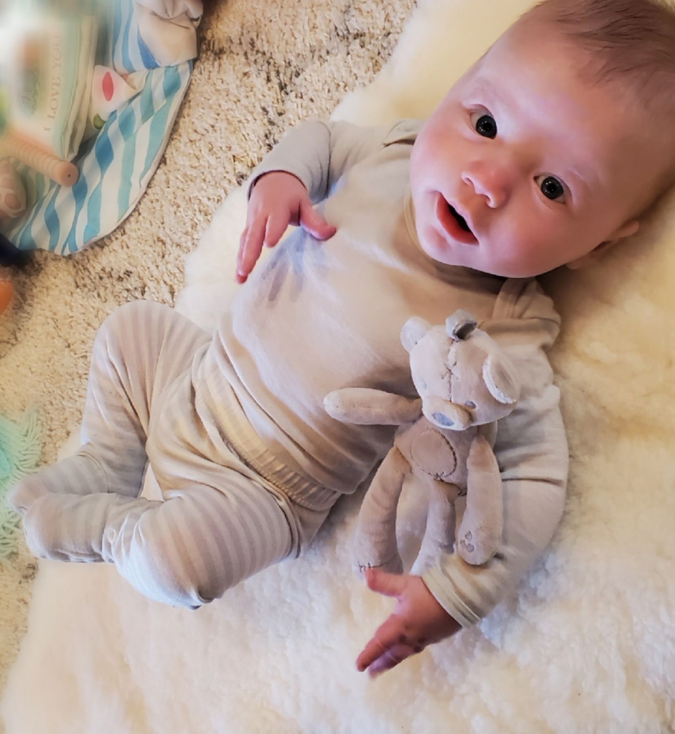 Customer photo review of Sheepskin Rug for Babies, 100% Natural, Shorn Lambskin Wool, 2 x 3 Feet, Ivory