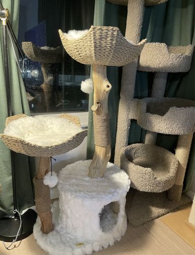 Customer photo review of Michu Selected Real Wood Cat Tree, Large
