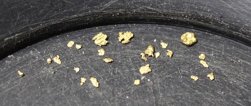 Customer photo review of Nugget Reserve 'MUSEUM SPECIMEN CHASE' - Gold Panning Paydirt Concentrate