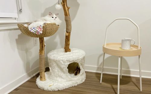 Customer photo review of Michu Selected Real Wood Cat Tree, Large
