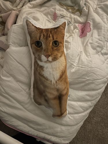 Customer photo review of Create A Custom Cat Pillow