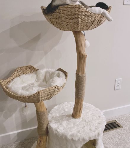 Customer photo review of Michu Selected Real Wood Cat Tree, Large