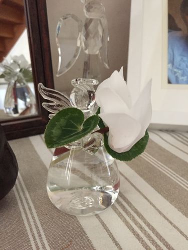 Customer photo review of Mon petit ange gardien