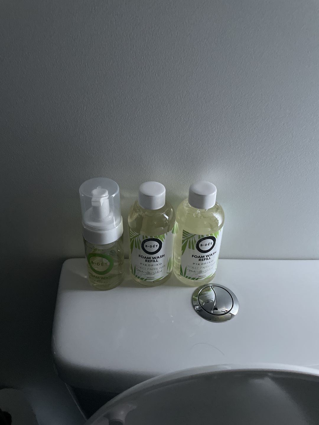 Customer photo review of 250ml BDÉT Foam Wash Refill