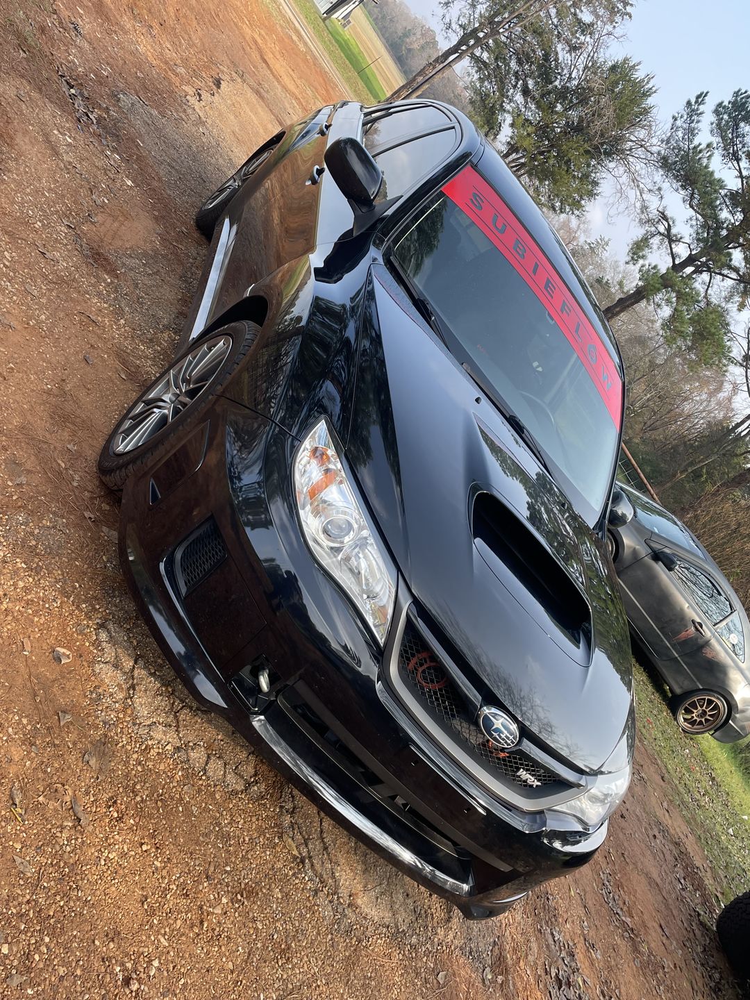Customer photo review of Reverse Cut Windshield Banners